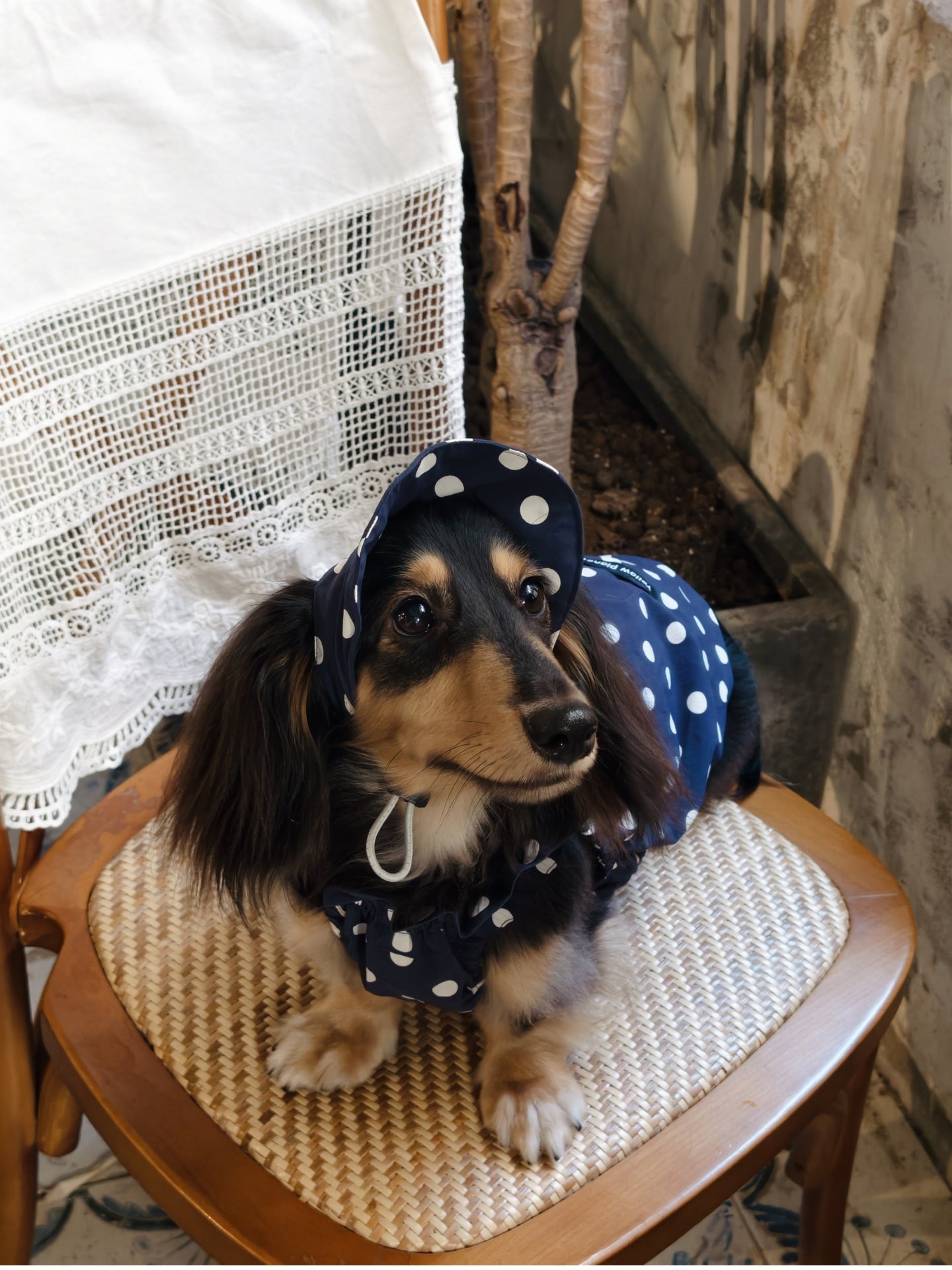 Oasis Polka Dot UV Protection Cap（Adjustable Brim）