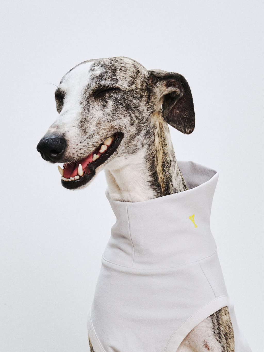 Oasisシリーズ 5-in-1 UVカット＆速乾ペットベスト