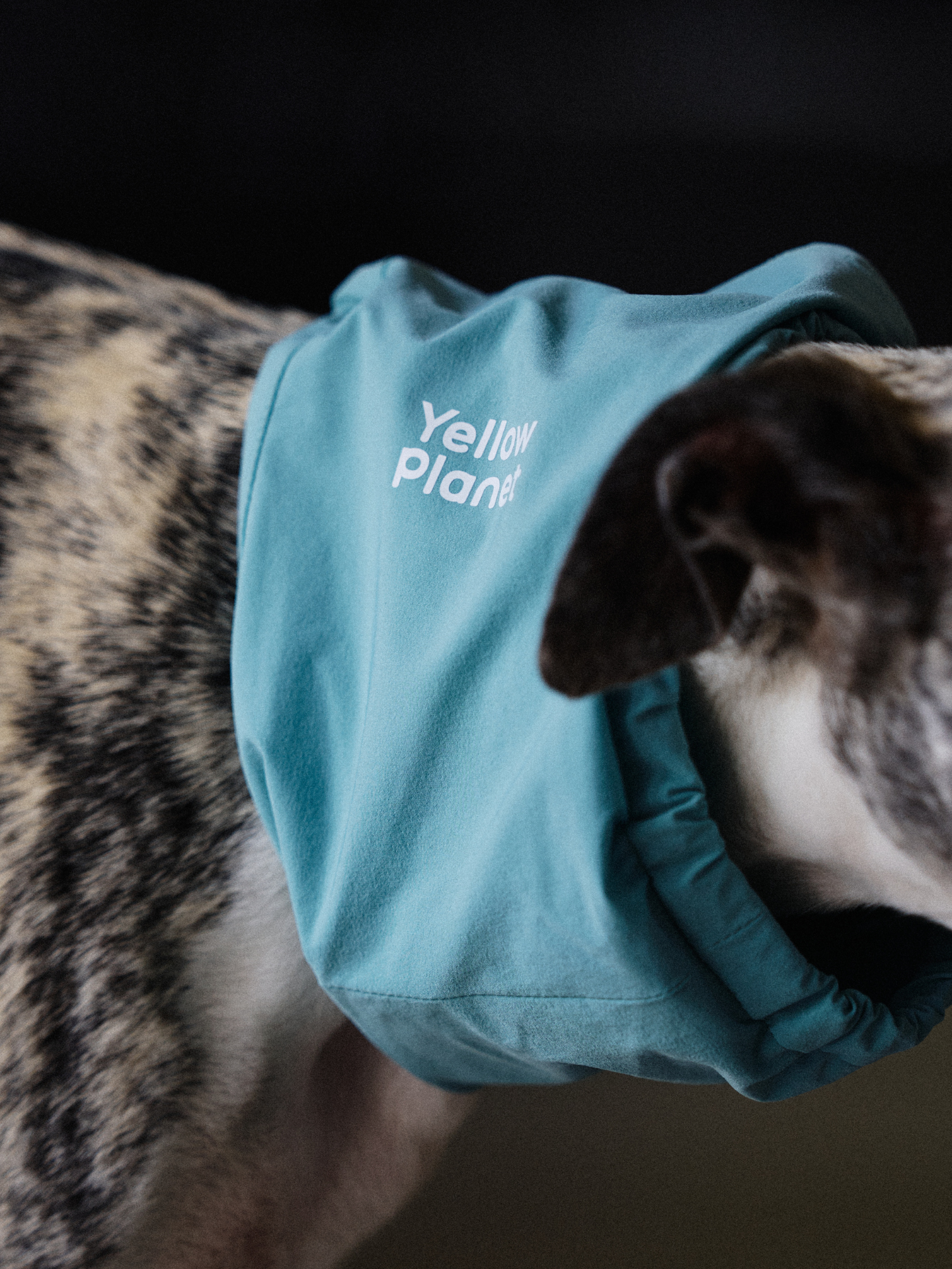 Oasisシリーズ 超軽量マルチ ペットネックゲイター