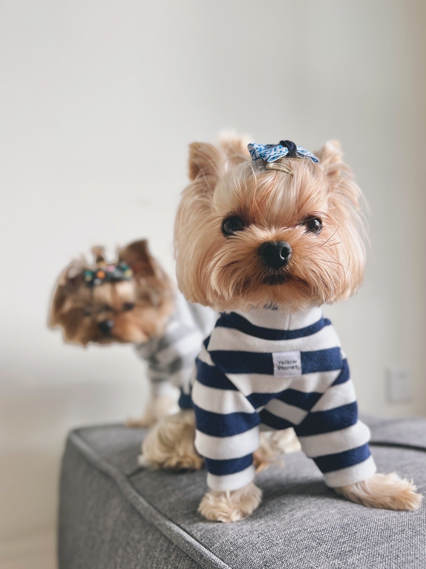 Colorful Daily Series  Classic Striped Yarn-Dyed Towel Cotton T-Shirt