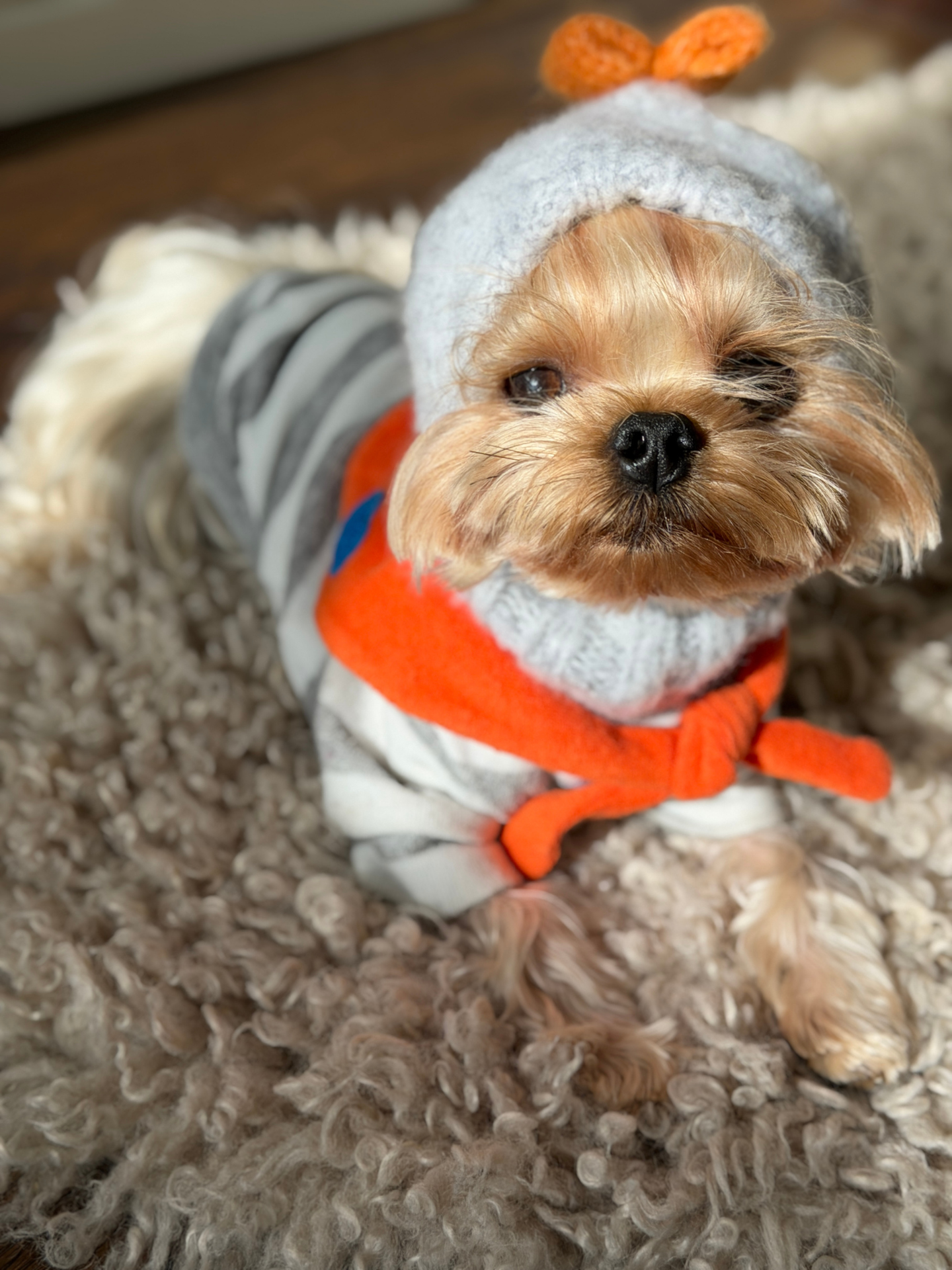 Pawsome Granny Gang Series Handcraft Fashion "MOCHI BONBON" Wool Knit Beanie