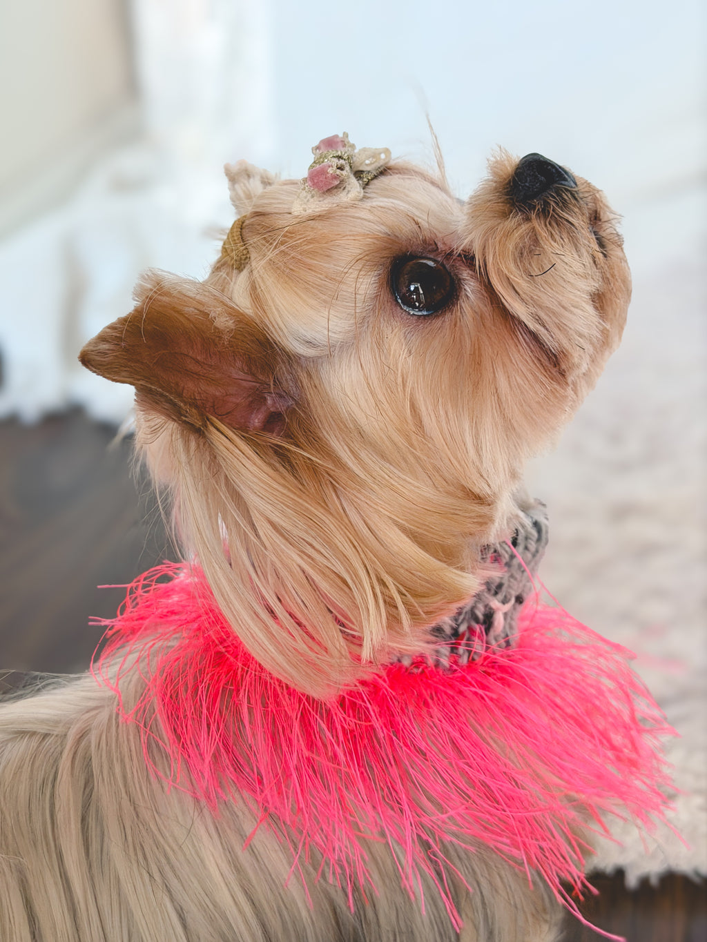 Hand-Knitted Fashion "Duality" Wool & Sea Anemone Yarn Fringe Snood