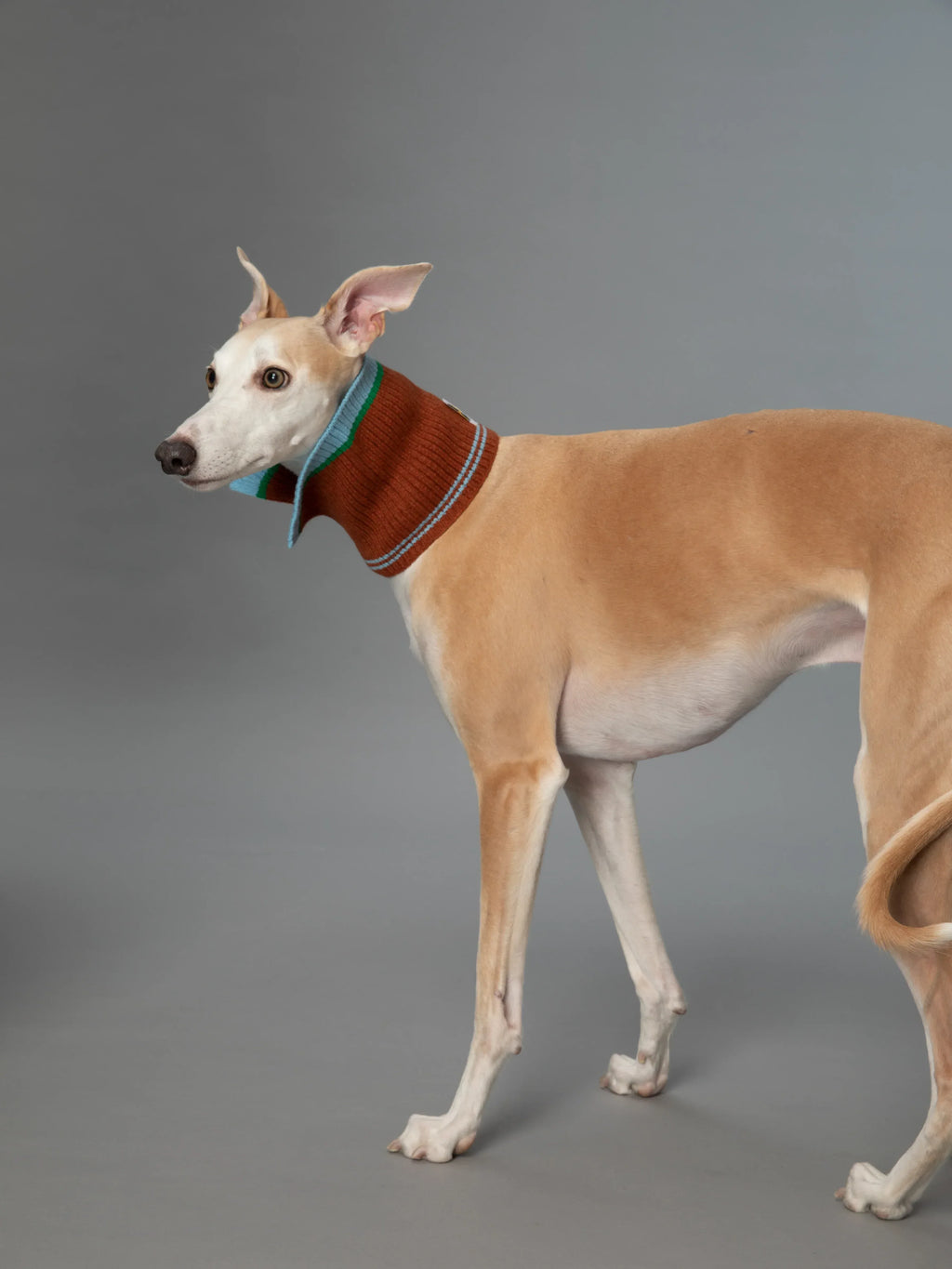 Color Heal Series Merino Wool Multifunctional Fashion Collar - Yellow Planet