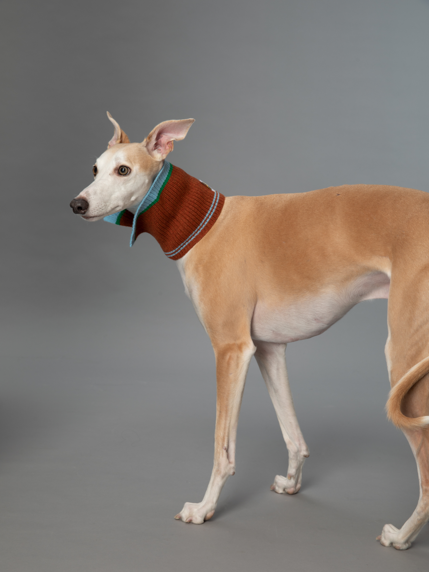 Color Heal シリーズ メリノウール 多機能ファッションカラー