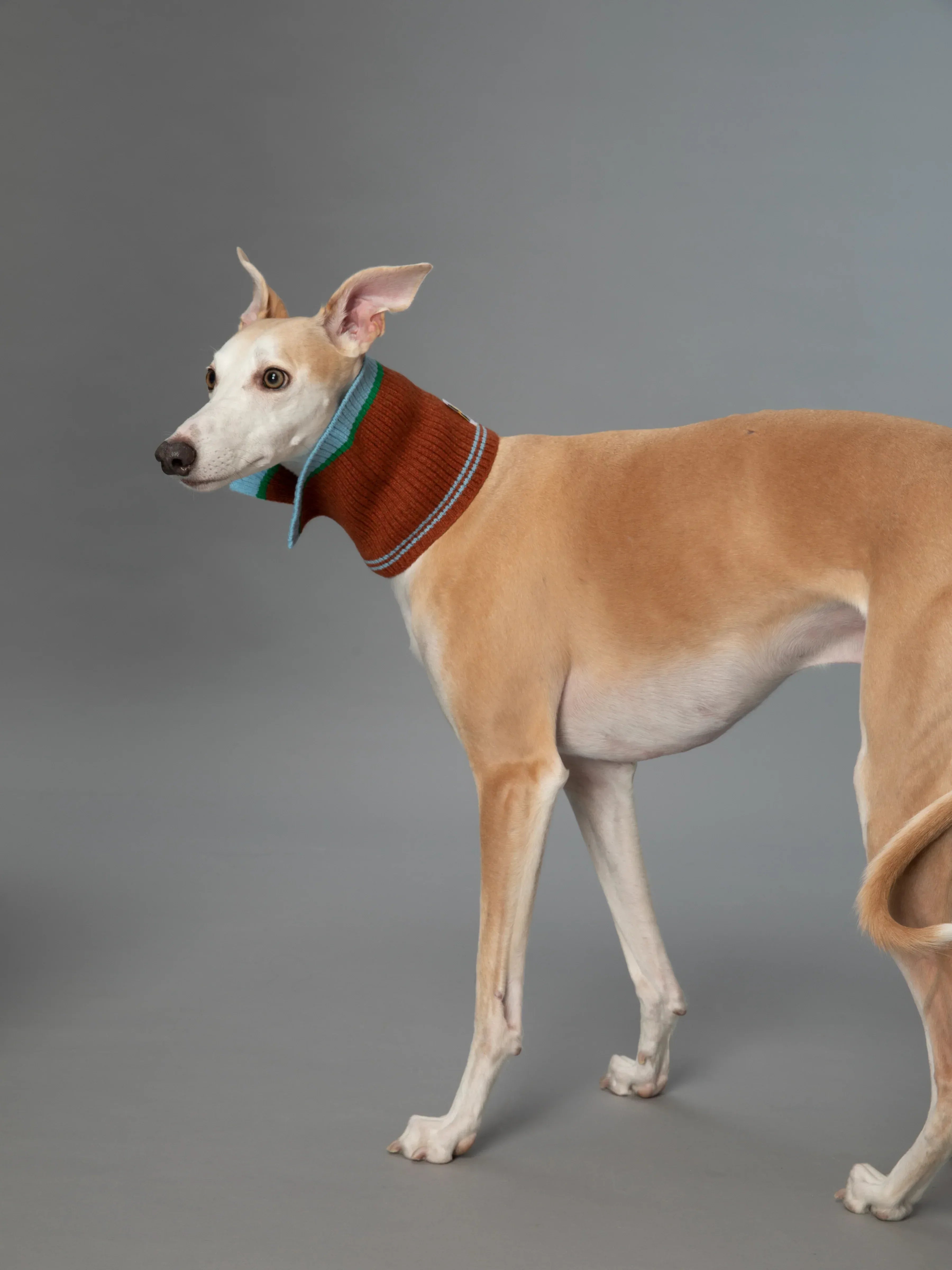 Color Heal Series Merino Wool Multifunctional Fashion Collar - Yellow Planet