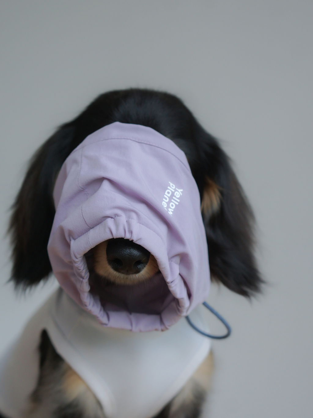 Oasisシリーズ 超軽量マルチ ペットネックゲイター