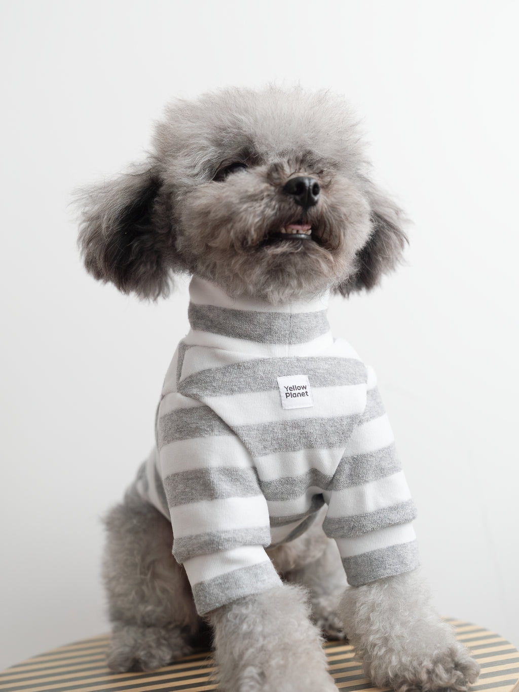 Colorful Daily シリーズ ストライプ先染めタオルコットンカットソー