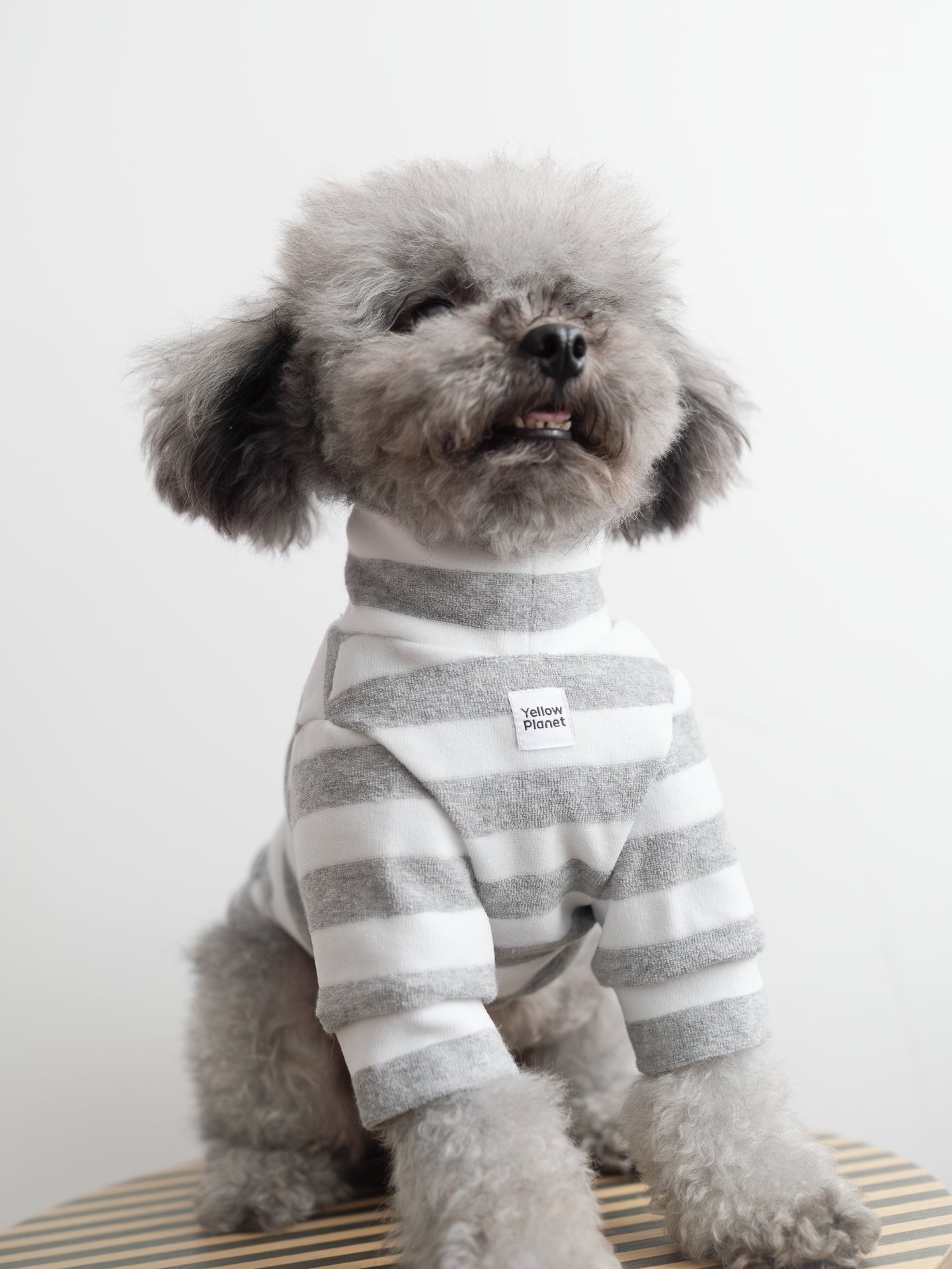 Colorful Daily シリーズ ストライプ先染めタオルコットンカットソー