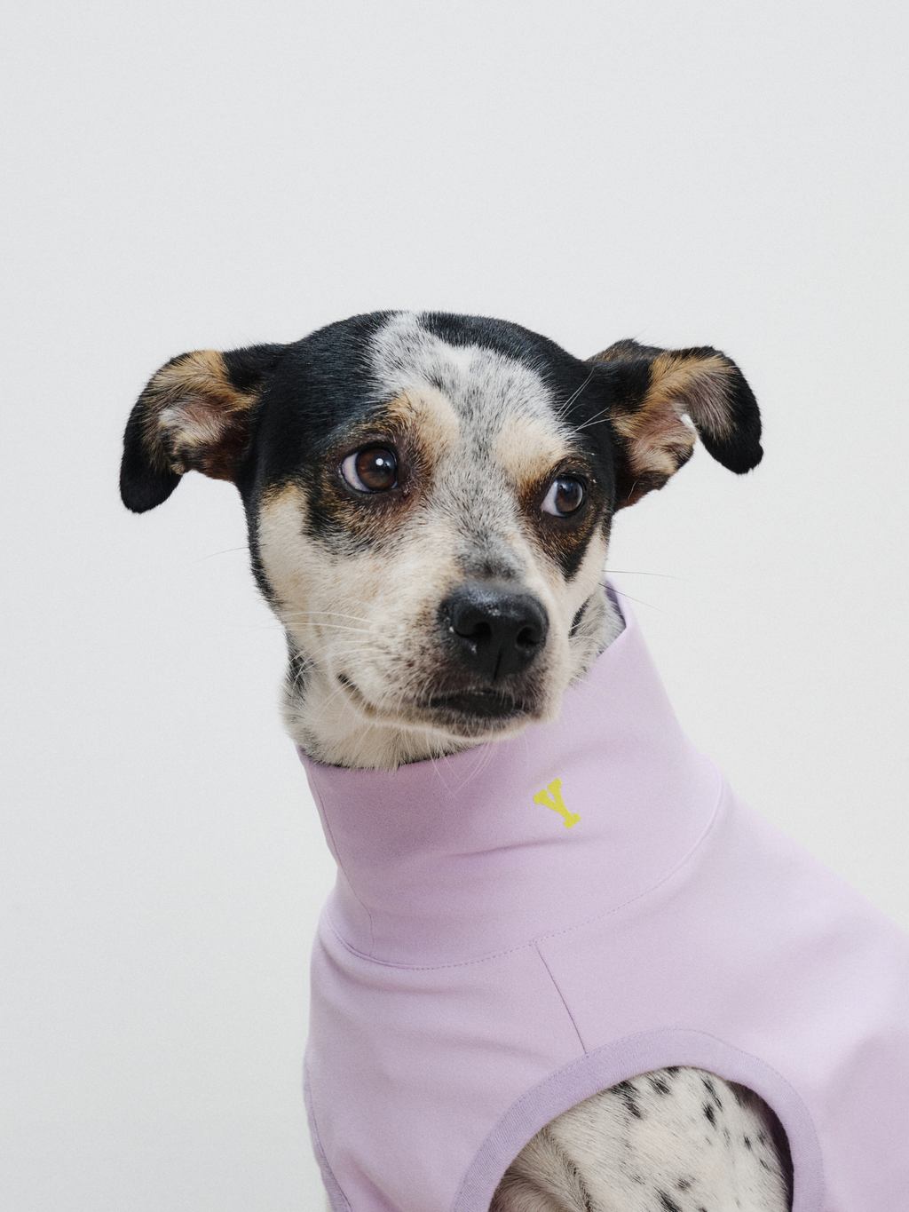 Oasisシリーズ 5-in-1 UVカット＆速乾ペットベスト