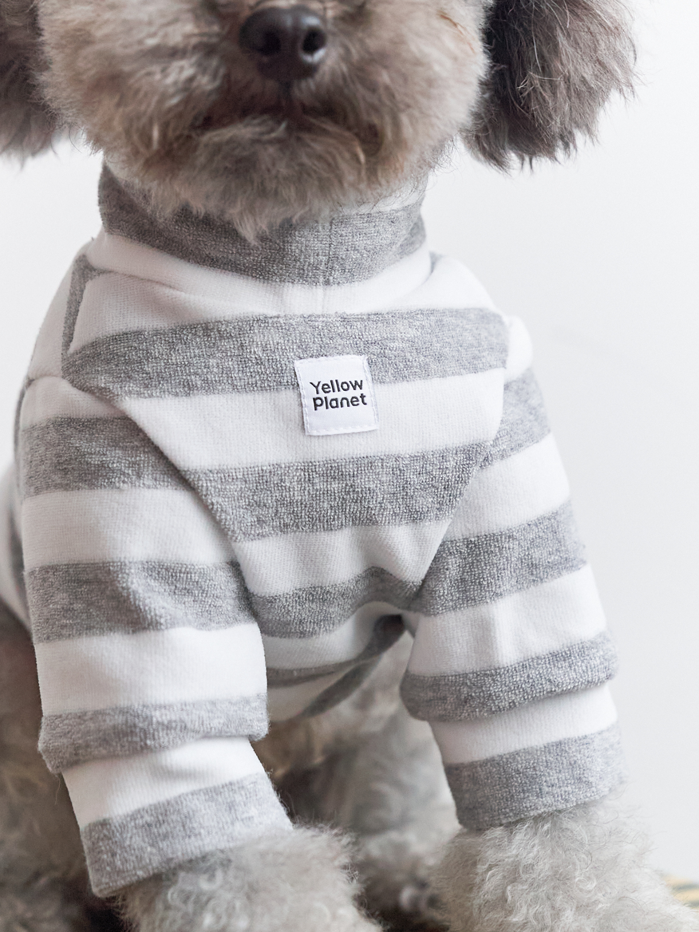 Colorful Daily Series Yarn-dyed Pet Stripe Outfit (Includes Matching Bandana)