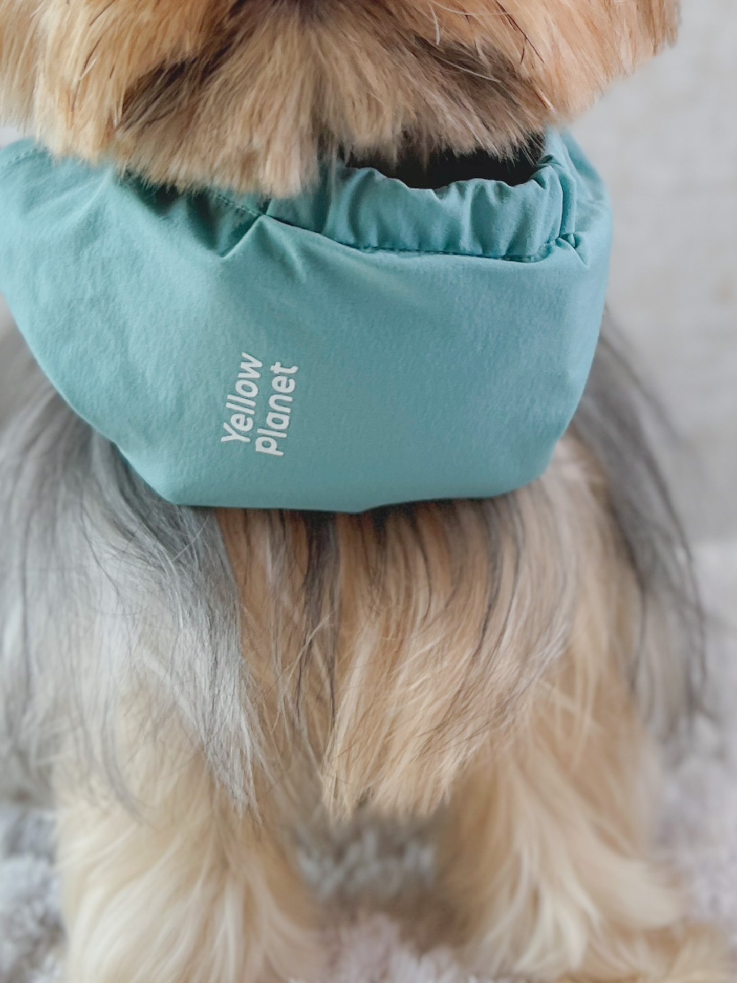 Oasisシリーズ 超軽量マルチ ペットネックゲイター