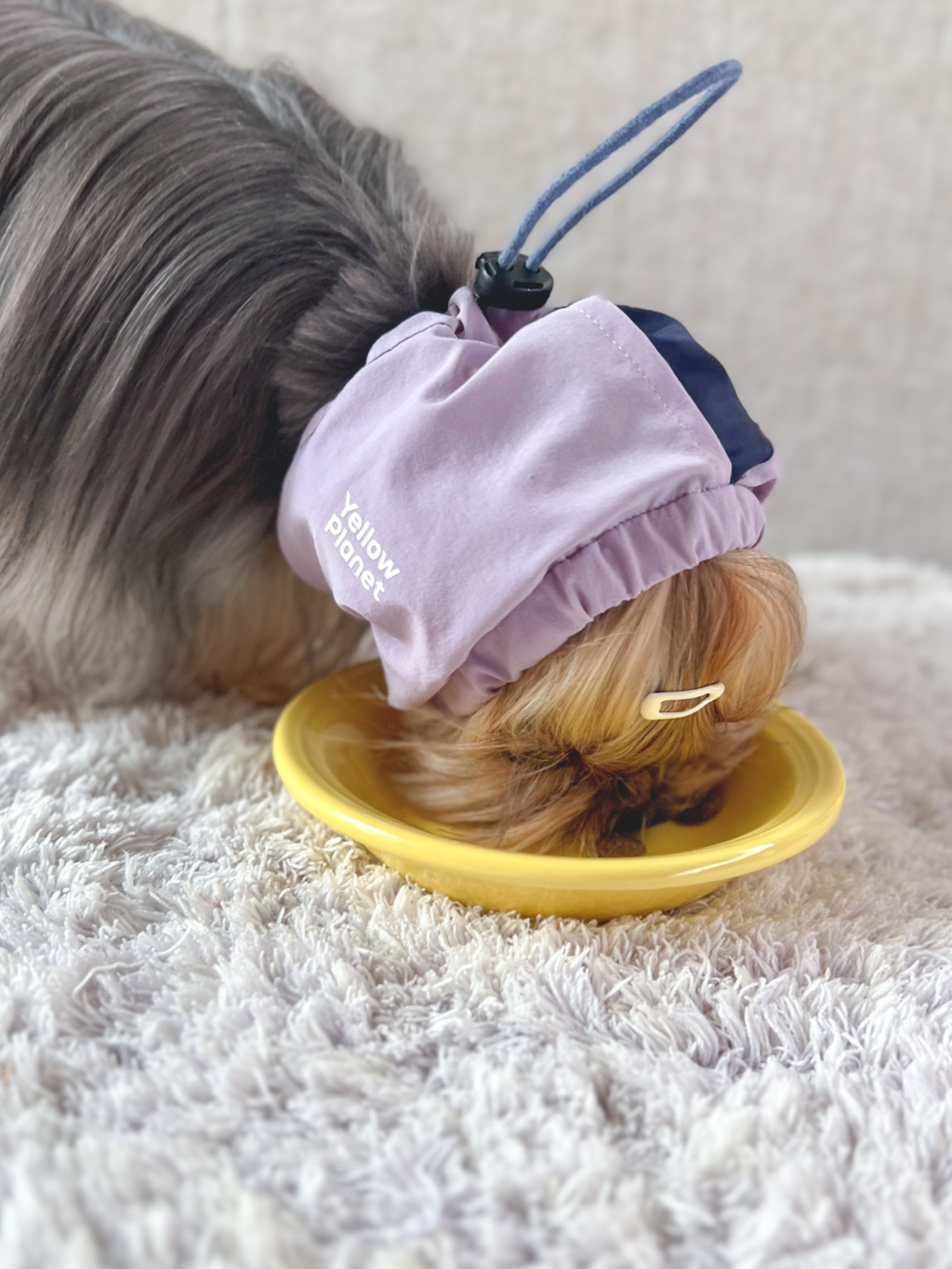 Oasisシリーズ 超軽量マルチ ペットネックゲイター