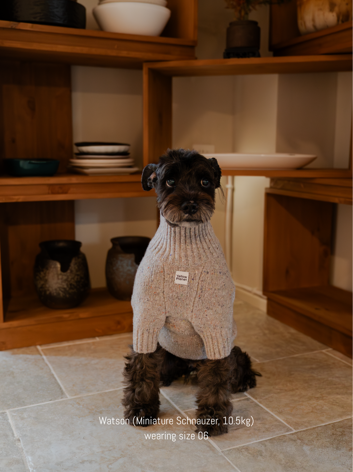 Gentle Dog Series Alpaca-Wool Tweed Pet Sweater-The New Chapter