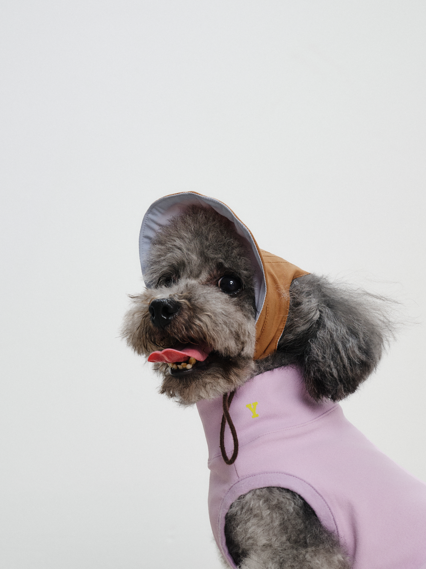 Oasis Series 3-IN-1 Reversible Lightweight Pet Cap (Adjustable)