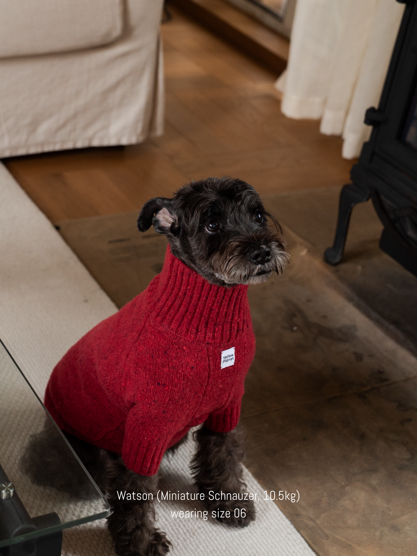 Gentle Dog Series Alpaca-Wool Tweed Pet Sweater-The New Chapter