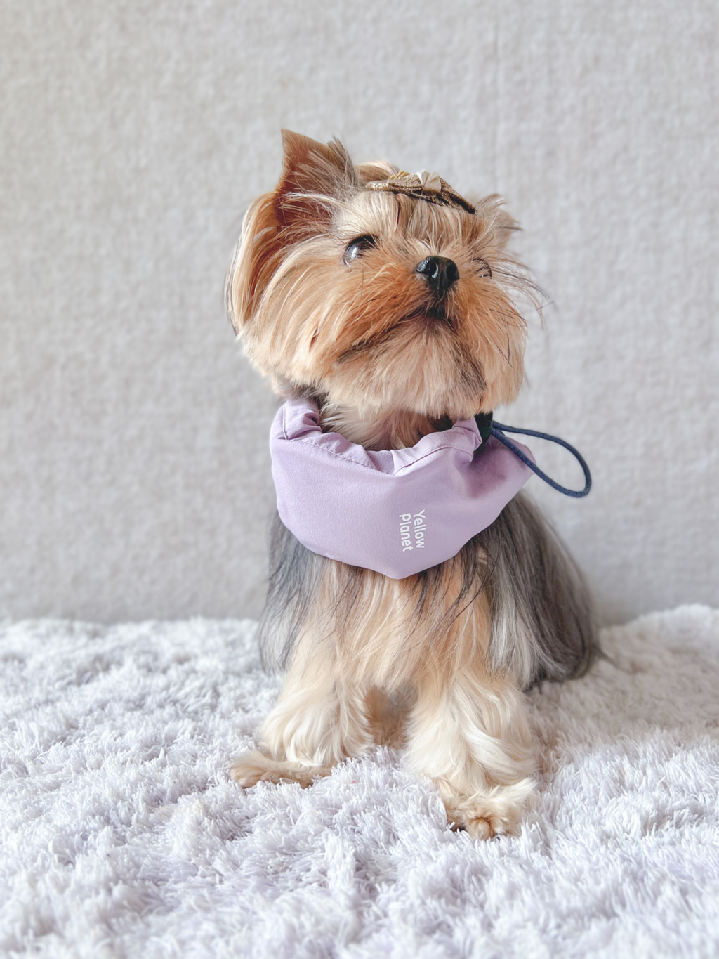 Oasisシリーズ 超軽量マルチ ペットネックゲイター