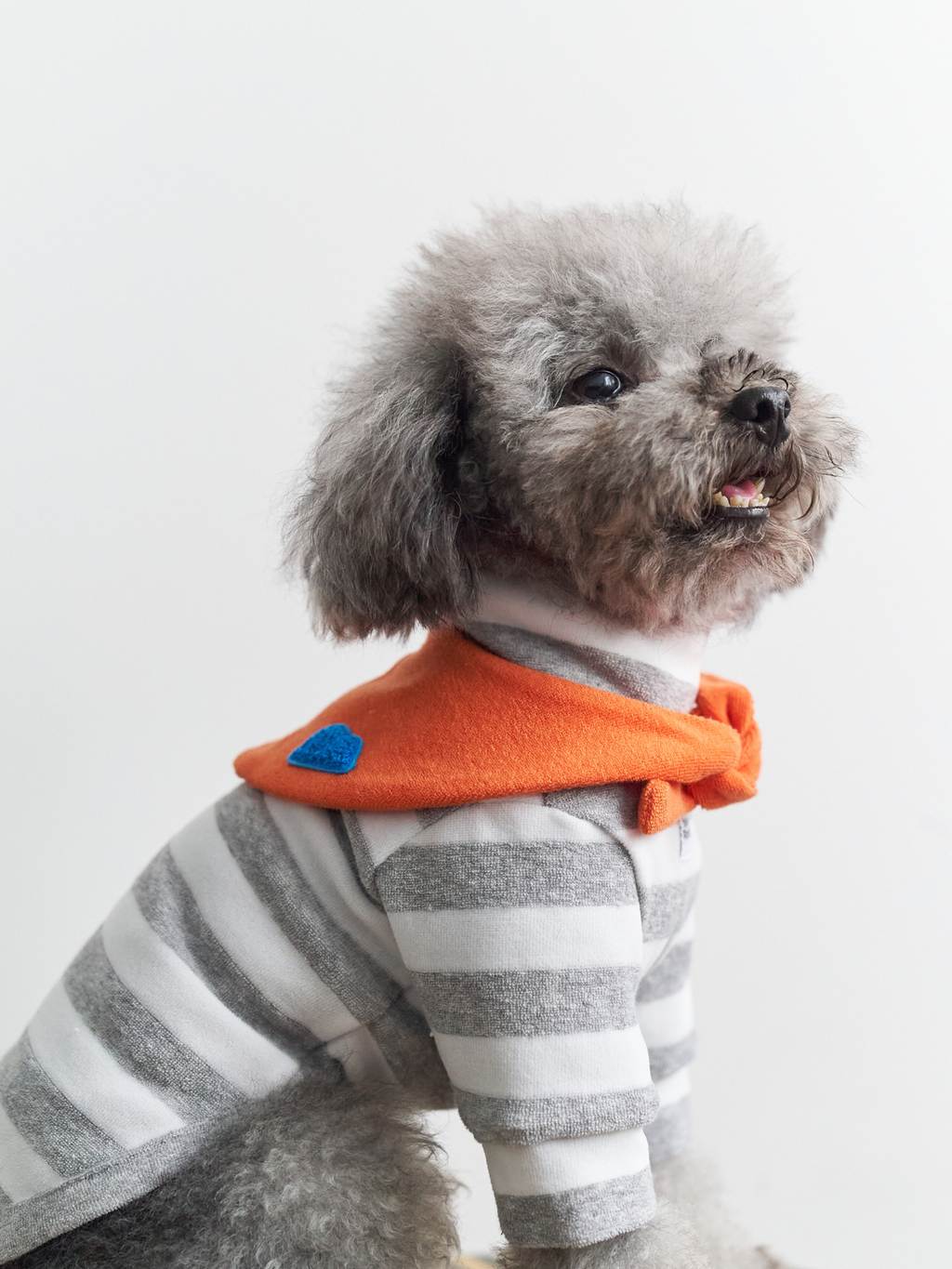 Colorful Daily Series Yarn-dyed Pet Stripe Outfit (Includes Matching Bandana)