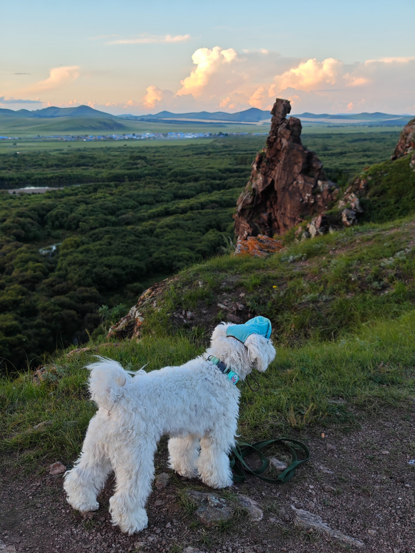 Oasis Series 3-IN-1 Reversible Lightweight Pet Cap (Adjustable)