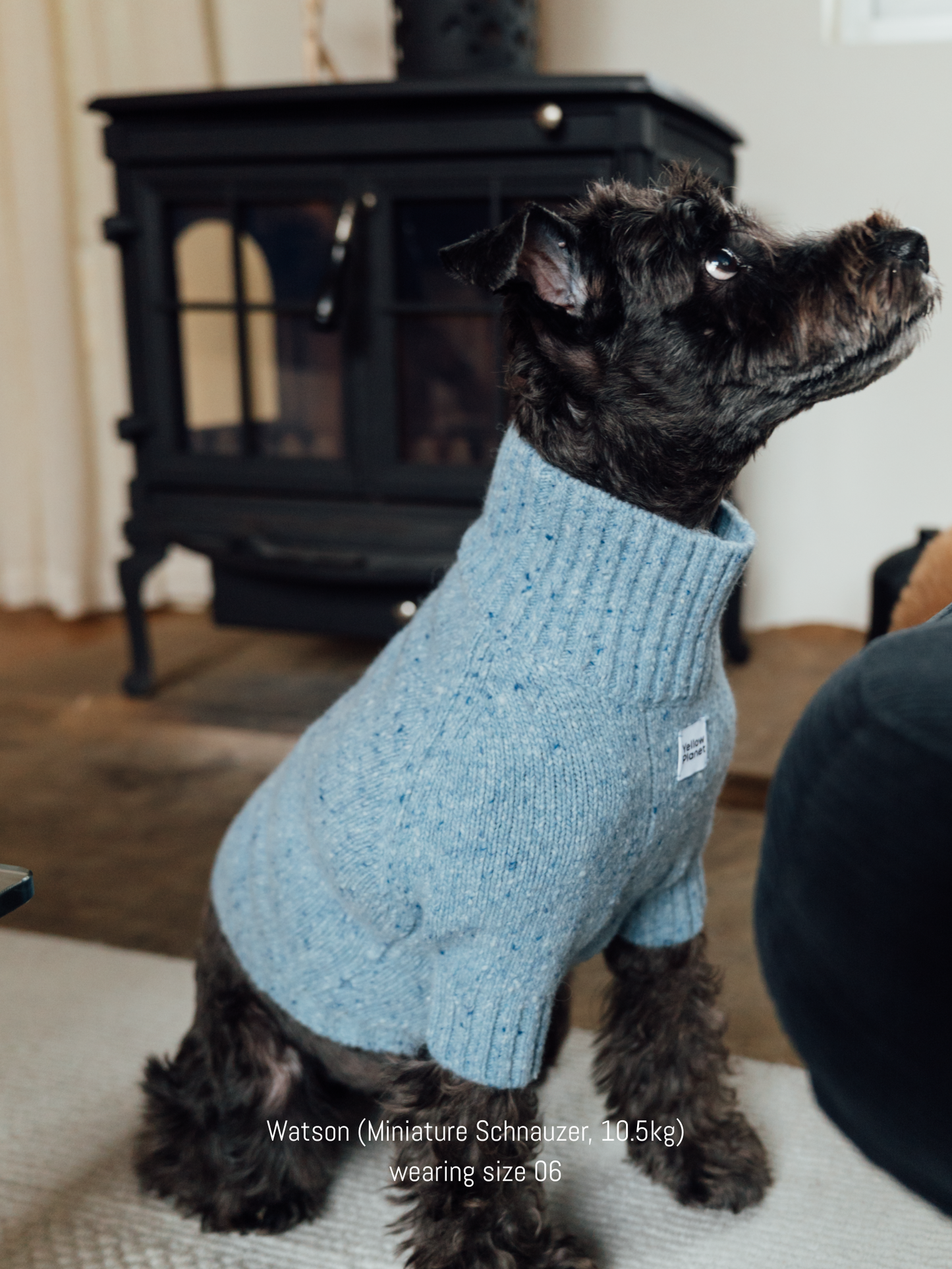 Gentle Dog Series Alpaca-Wool Tweed Pet Sweater-The New Chapter