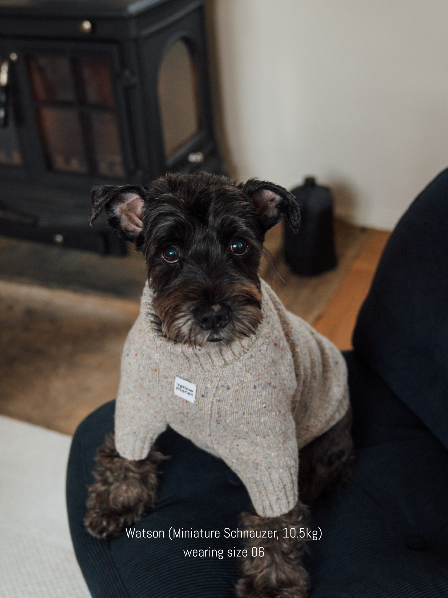 Gentle Dog Series Alpaca-Wool Tweed Pet Sweater-The New Chapter