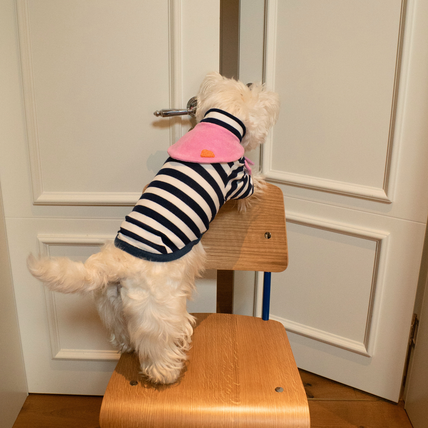 Colorful Daily Series Color Yarn-dyed PET Bandana