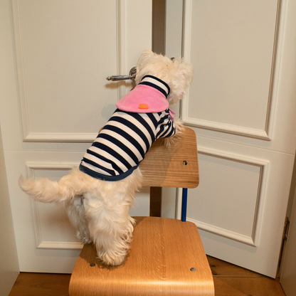 Colorful Daily Series Color Yarn-dyed PET Bandana