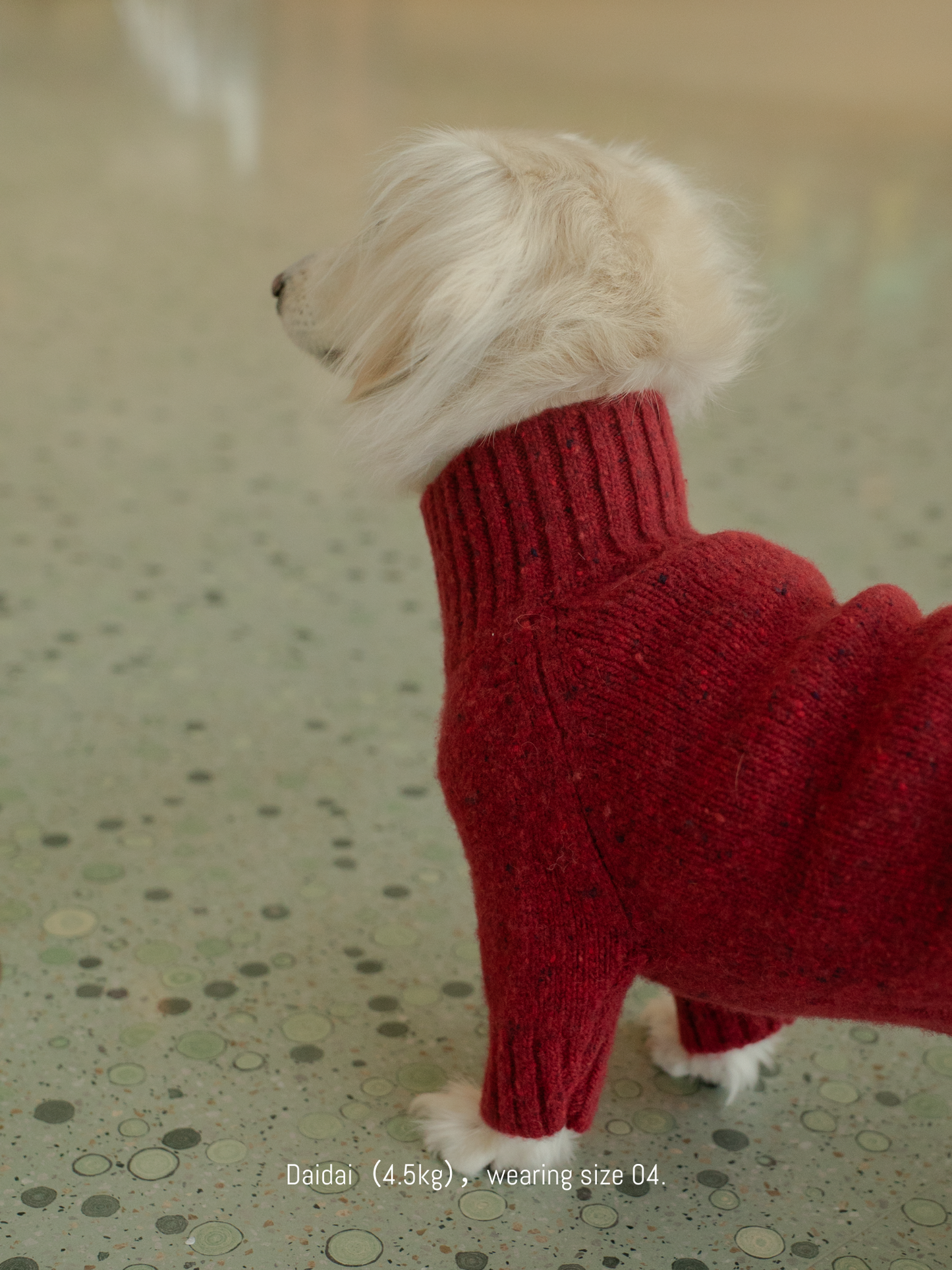 Gentle Dog Series Alpaca-Wool Tweed Pet Sweater-The New Chapter