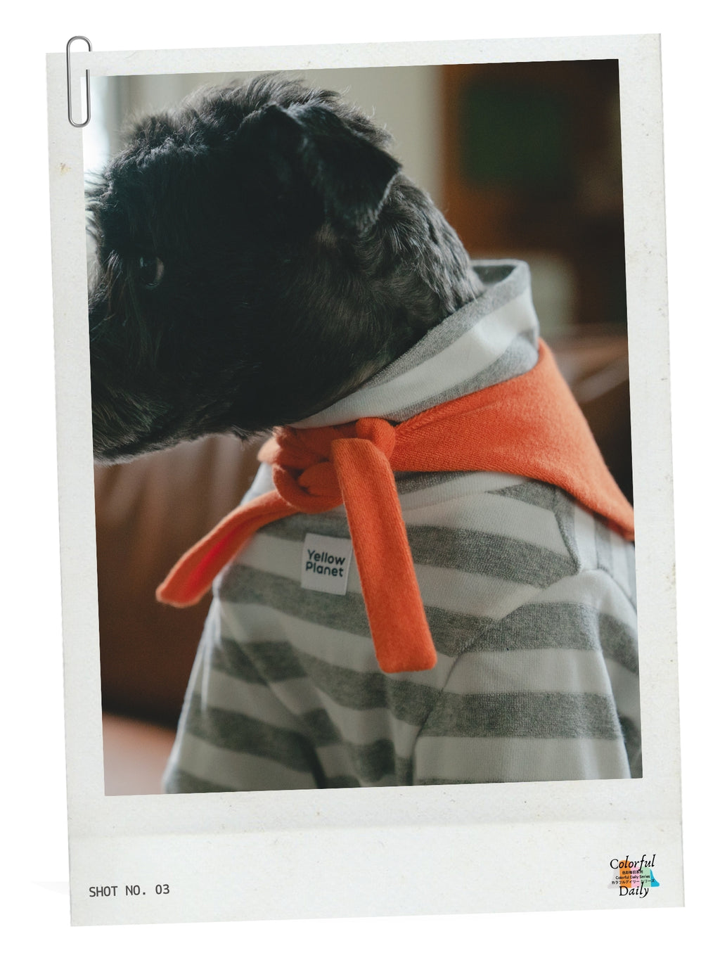 Colorful Daily シリーズ ストライプ先染めタオルコットンカットソー