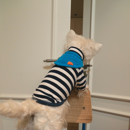 Colorful Daily Series Color Yarn-dyed PET Bandana