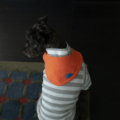 Colorful Daily Series Color Yarn-dyed PET Bandana