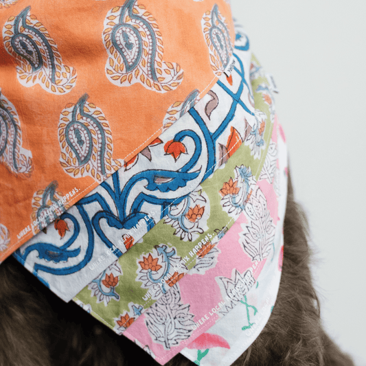 Close-up of a multicolor triangle bandana, highlighting the vibrant design and premium fabric, perfect for stylish pet accessories.
