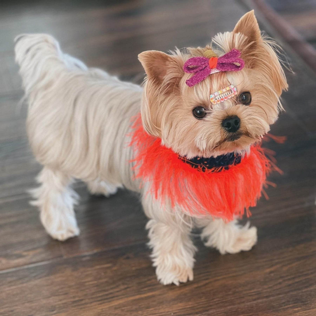 Pawsome Granny Gang Handmade "Duality" Wool & Yarn Snood for Pets