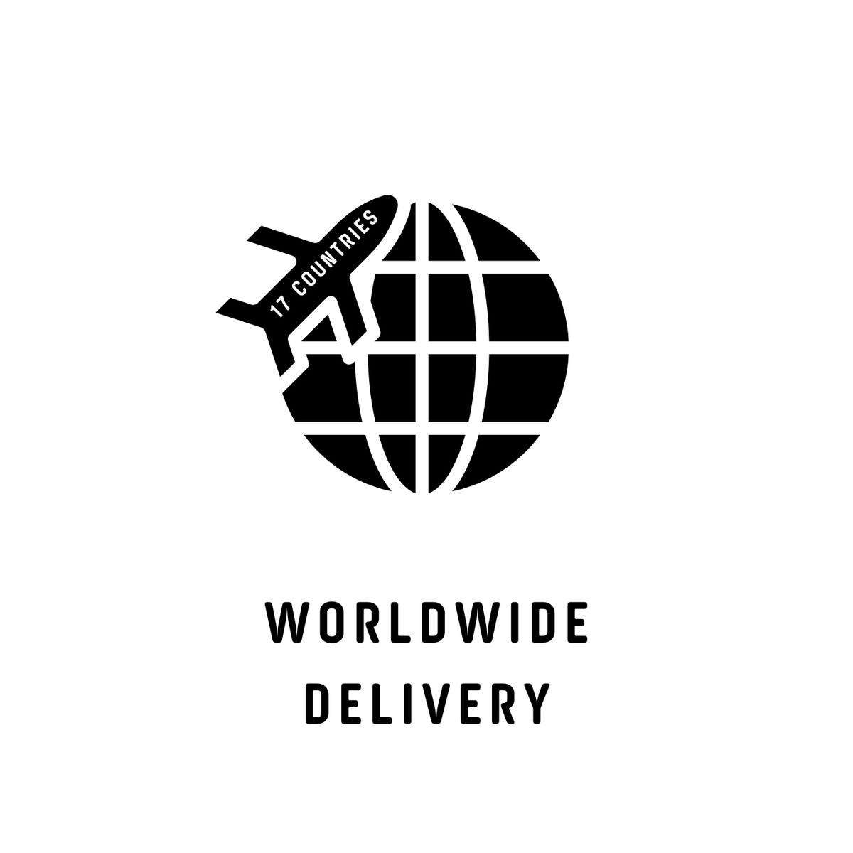 Worldwide Delivery icon