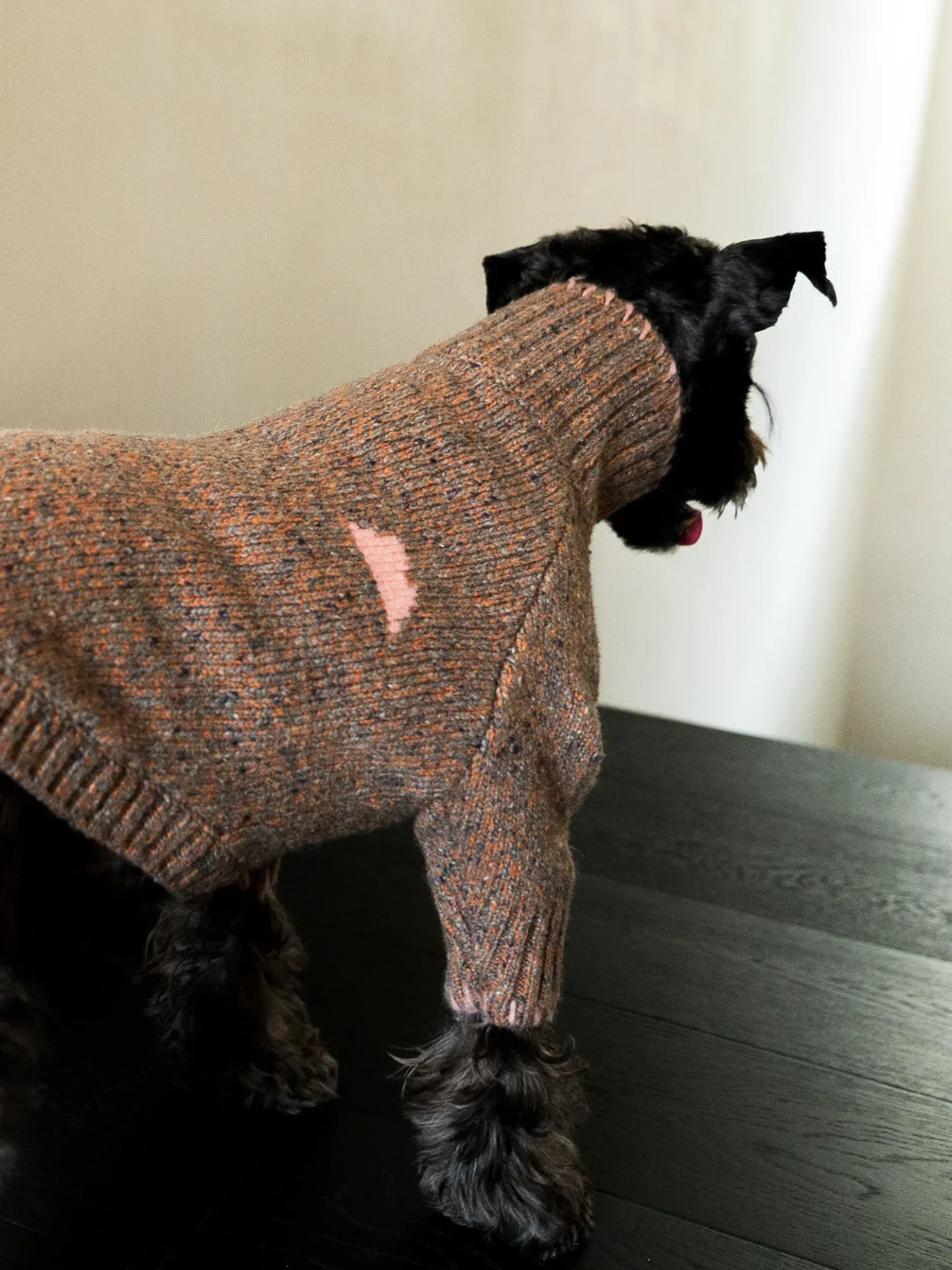 A black dog modeling the Rust Tweed sweater from behind, showcasing the signature pink intarsia "funky" mountain detail on the back.
