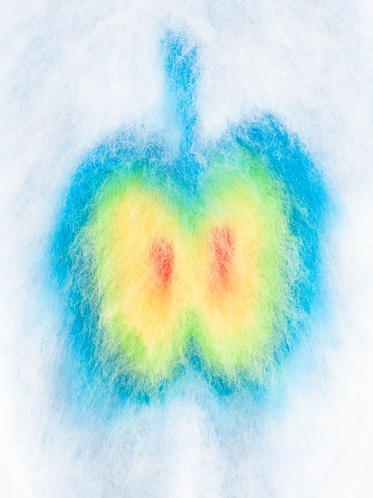 Close-up of the artistic blue, green, and yellow apple motif on the soft brushed knit pet vest.