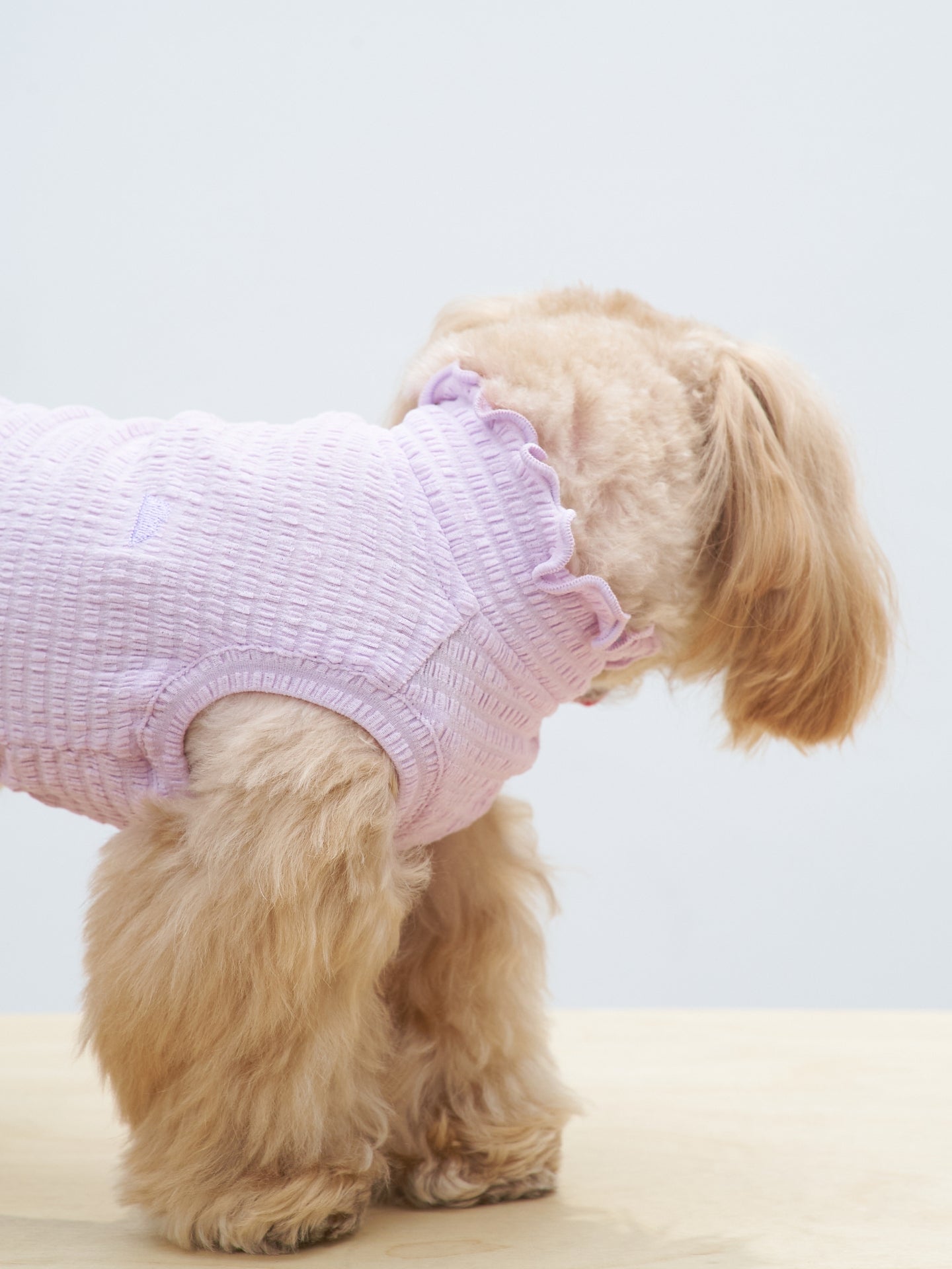 Rear side view of a brown dog wearing the Purple Colorful Daily AIRWave Tank.