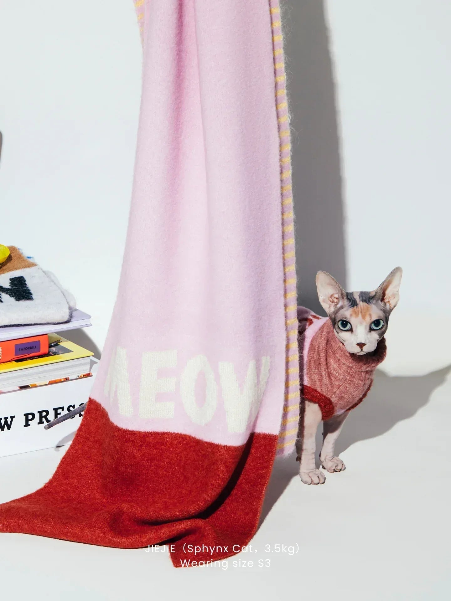 A hairless cat wearing the pink and coral red alpaca wool pet vest, showcasing its ultra-light and cuddly fit.