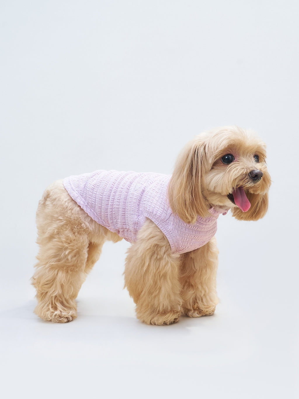 Alternate product view of the Colorful Daily AIRWave dog tank in Purple.