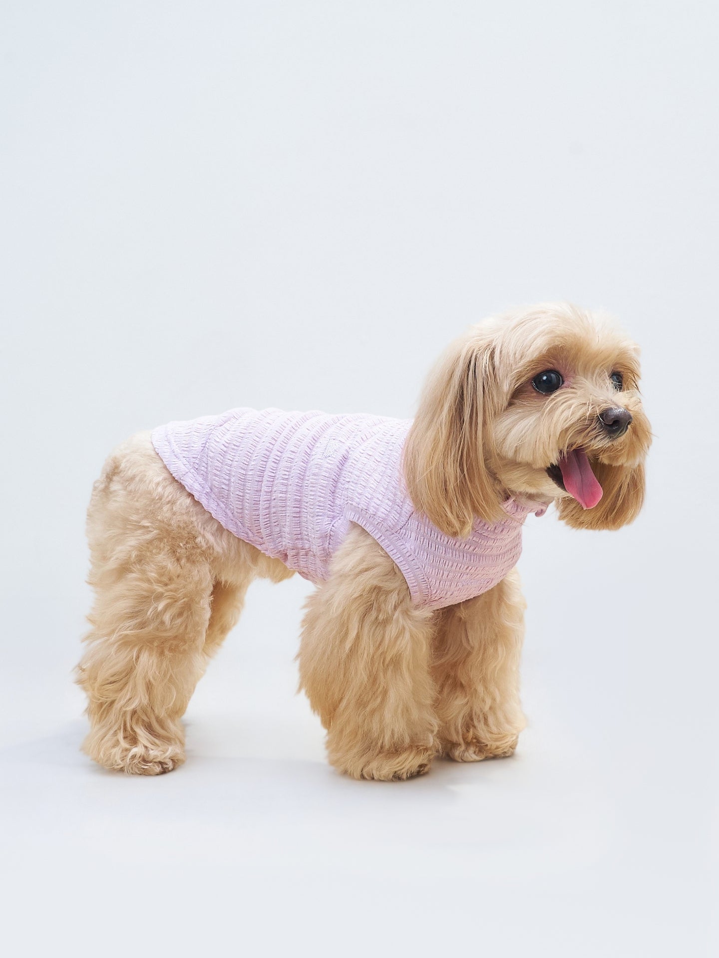 Alternate product view of the Colorful Daily AIRWave dog tank in Purple.