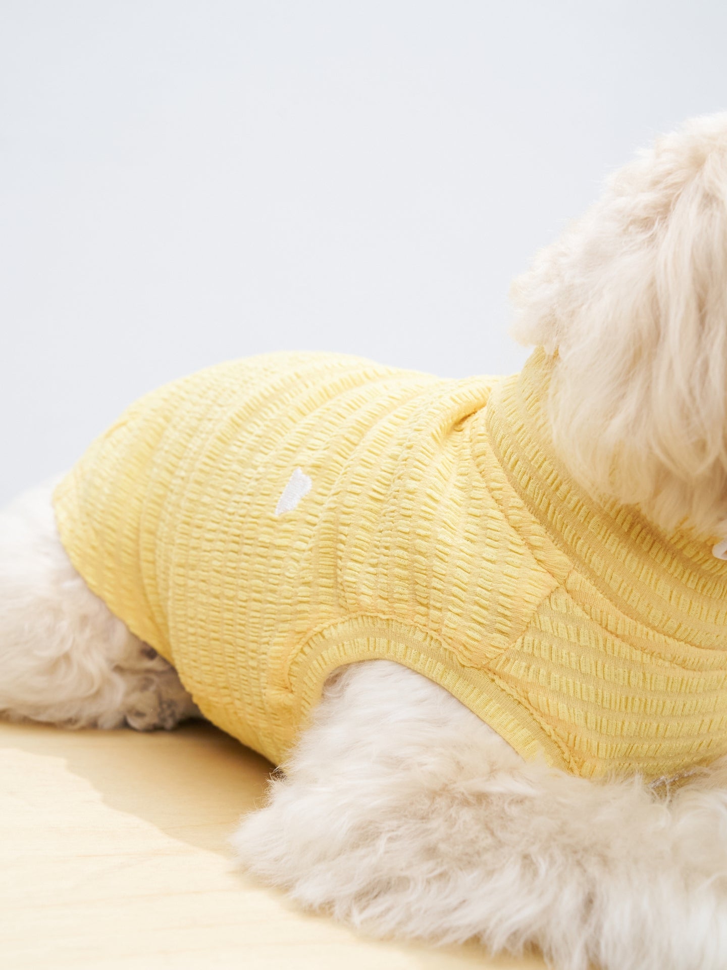Close-up of a dog lying down while wearing the Colorful Daily AIRWave Tank in Pale Yellow.