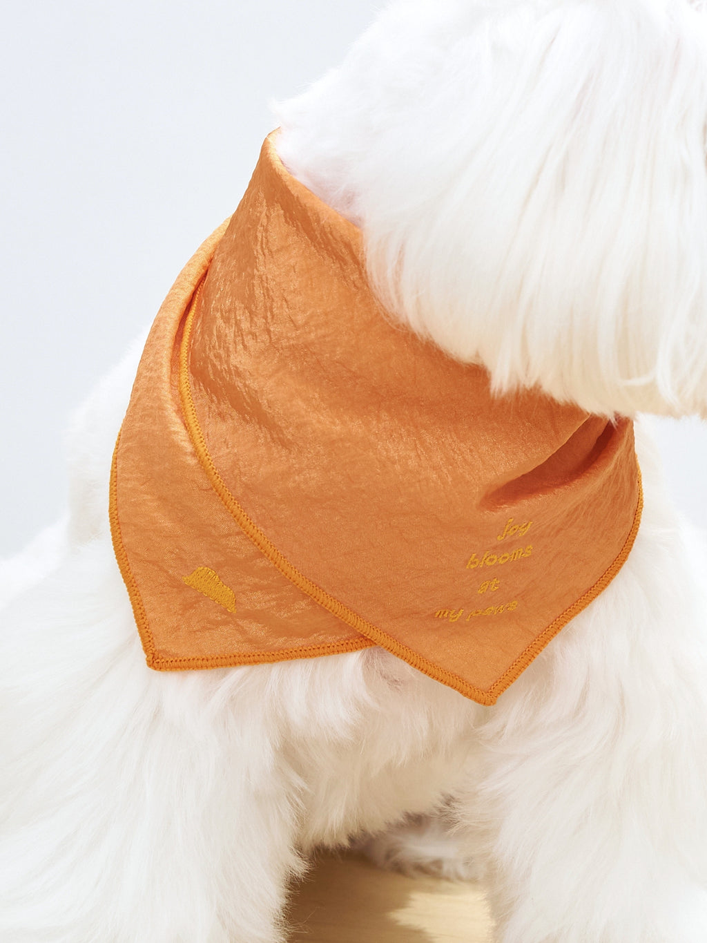 Detail of the Colorful Daily orange embroidered dog bandana, showing its refined shape, soft texture and playful everyday style.