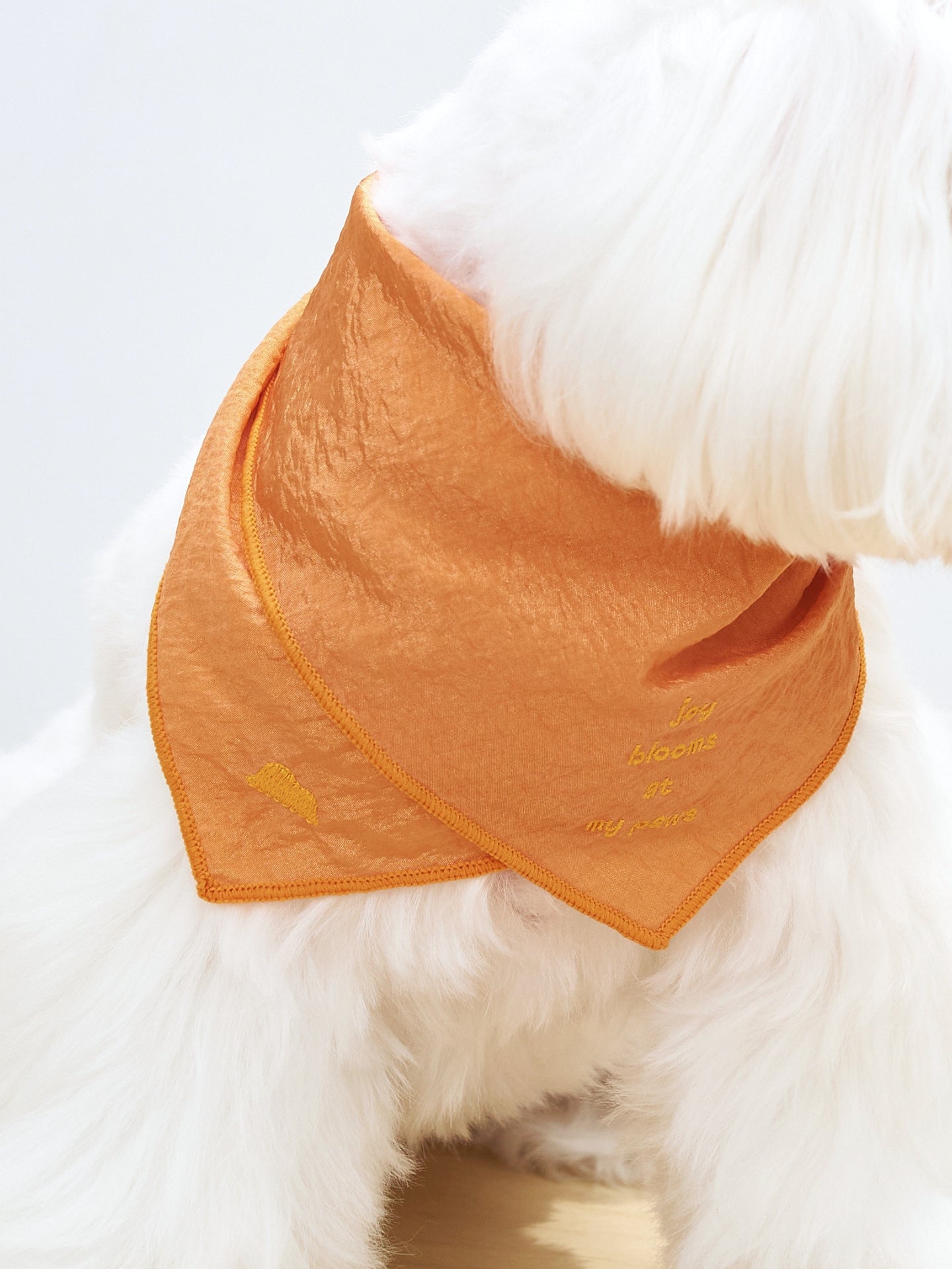 Detail of the Colorful Daily orange embroidered dog bandana, showing its refined shape, soft texture and playful everyday style.