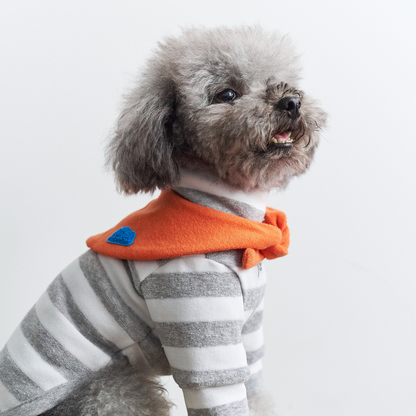 Gray small dog wearing Colorful Daily Series Classic Stripe × Color Yarn-dyed Two-Leg Pet Outfit in gray stripe with orange bandana, side view on white background