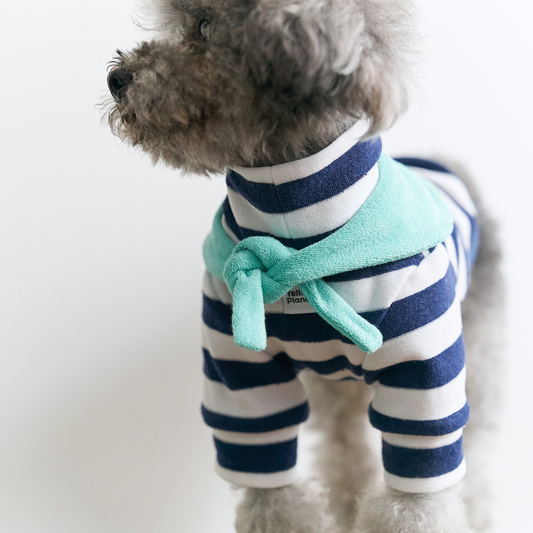 Gray small dog wearing Colorful Daily Series Classic Stripe × Color Yarn-dyed Two-Leg Pet Outfit in navy stripe with green bandana, front view on white background