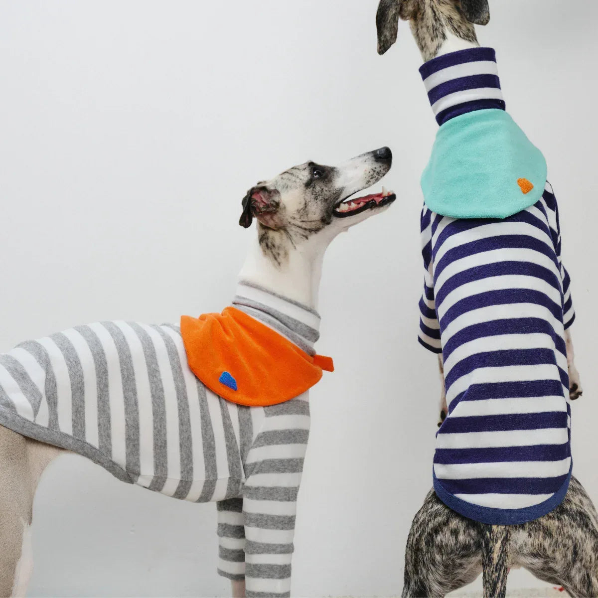 Colorful Daily Series Yarn-dyed Pet Stripe Outfit (Includes Matching Bandana) - Yellow Planet