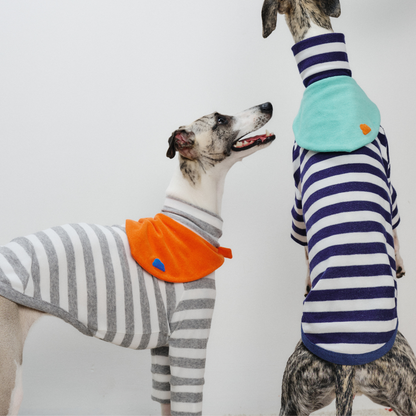 Two greyhounds wearing Colorful Daily Series Classic Stripe × Color Yarn-dyed Two-Leg Pet Outfits, one in gray stripe with orange bandana and the other in navy stripe with green bandana, playing together on white background