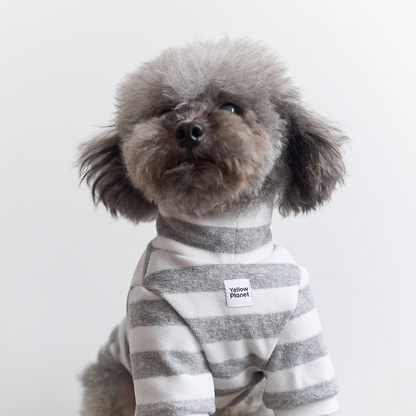 Small gray dog wearing Colorful Daily Series Classic Stripe × Color Yarn-dyed Two-Leg Pet Outfit in gray stripe, sitting front view on white background, looking up