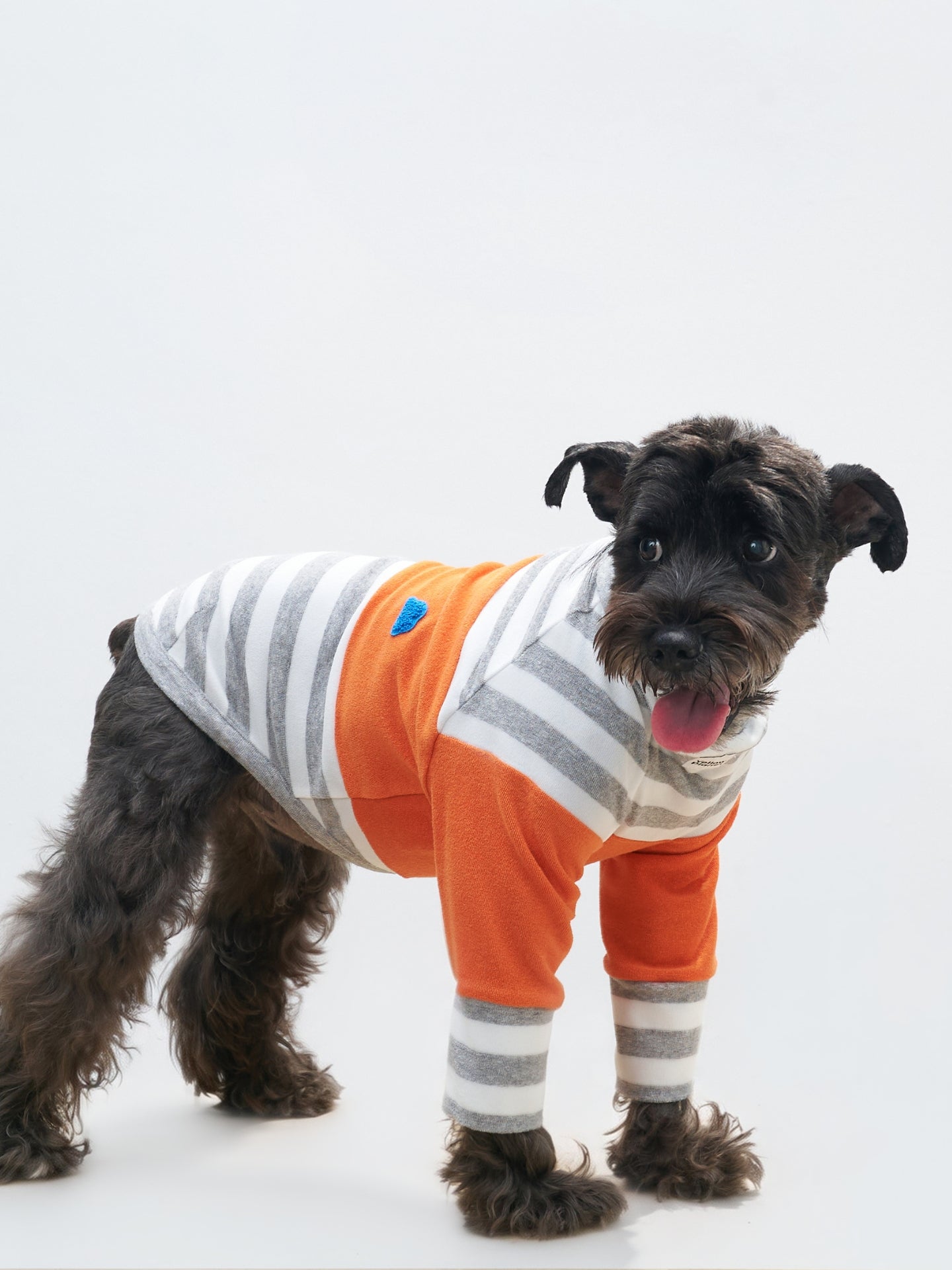 Small dog wearing the Colorful Daily striped terry tee in Grey-white Stripe x Orange with breathable, moisture-absorbing comfort.