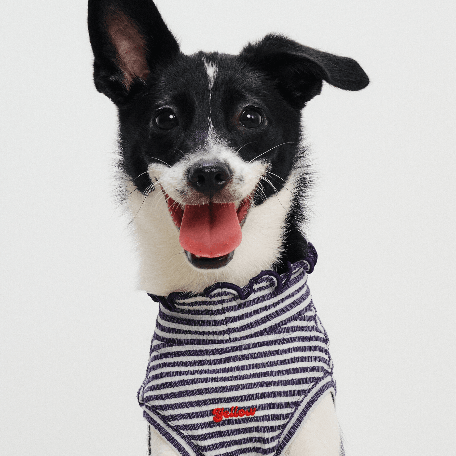 Front half-body view of small dog smiling while wearing navy striped Colorful Daily Series Wavy 3D Pleated Pet Vest