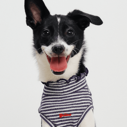Front half-body view of small dog smiling while wearing navy striped Colorful Daily Series Wavy 3D Pleated Pet Vest